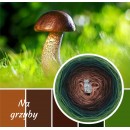 Motek - Na grzyby