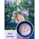 Motek - Pani Wiosna