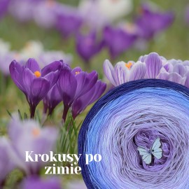 Krokusy po zimie