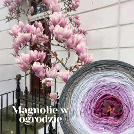 Magnolie w ogrodzie